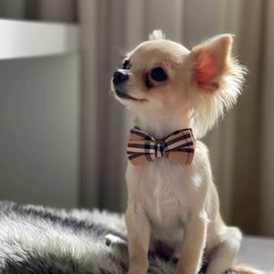 Dog Bow Tie Collar